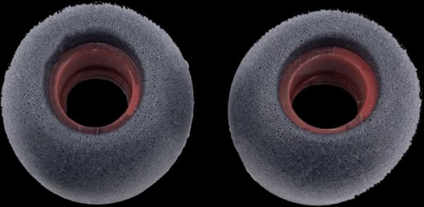 Foam Ear Tip